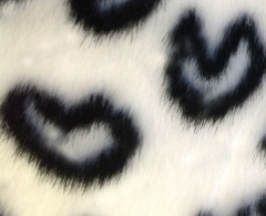 Мех искуственный "Норка, шиншилла" (Китай) 