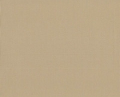 Ткань Оксфорд PVC 420 D 260+/-20гр.м2 (0.25 мм)  рул 50м гладь (Черный) (Бежевый 1113)