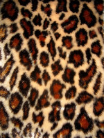 Мех искусственный, коротковорсовый  в Самаре